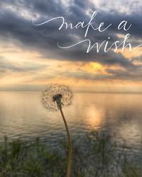 Make a Wish | Obraz na stenu