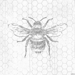 Grey Bee | Obraz na stenu