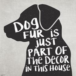 Dog Fur | Obraz na stenu