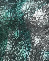 Colored Succulents II | Obraz na stenu