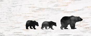 Bear Family | Obraz na stenu