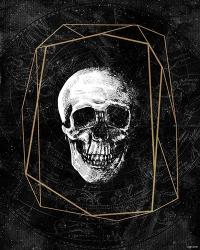 Cosmic Skull | Obraz na stenu