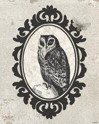 Celestial Owl | Obraz na stenu
