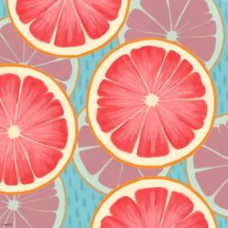 Grapefruit | Obraz na stenu