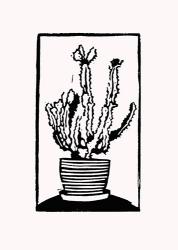 Black Cactus | Obraz na stenu