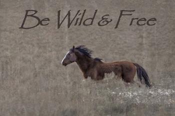 Be Wild & Free | Obraz na stenu