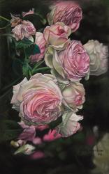 Roses from Pat | Obraz na stenu
