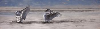 Dance of the Swans | Obraz na stenu