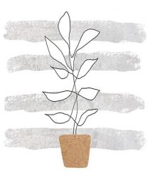 Scandi Plant | Obraz na stenu