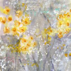 Dusty Miller | Obraz na stenu