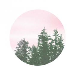 Pink Sky Over Trees | Obraz na stenu