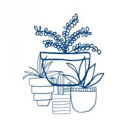 Indigo Succulents | Obraz na stenu