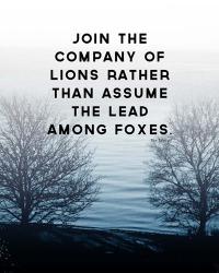 Lions and Foxes | Obraz na stenu