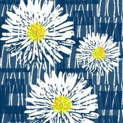 White Flowers on Blue | Obraz na stenu