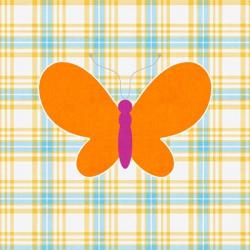 Plaid Butterfly I | Obraz na stenu