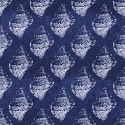 Seashells II | Obraz na stenu