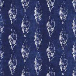 Seashells III | Obraz na stenu