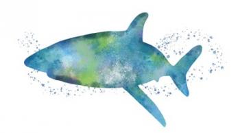Watercolor Shark I | Obraz na stenu