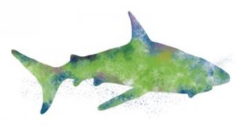 Watercolor Shark II | Obraz na stenu