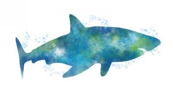 Watercolor Shark III | Obraz na stenu
