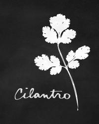 Cilantro | Obraz na stenu