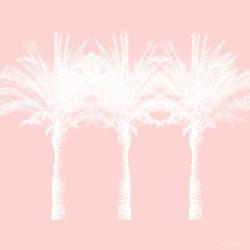 White and Pink Palm Trees | Obraz na stenu