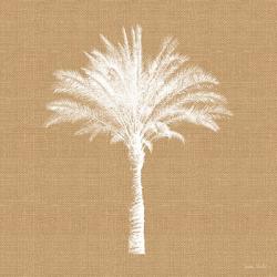 Burlap Palm Tree | Obraz na stenu