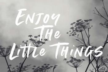 Enjoy the Little Things | Obraz na stenu