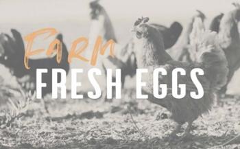 Farm Fresh Eggs | Obraz na stenu