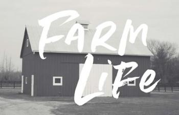 Farm Life Barn | Obraz na stenu