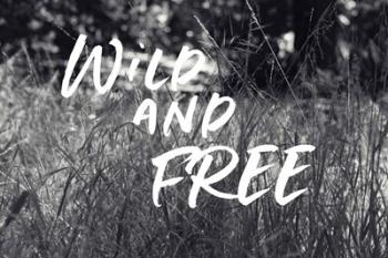 Wild and Free | Obraz na stenu