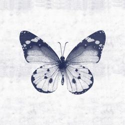 Blue Butterfly I | Obraz na stenu