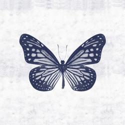 Blue Butterfly II | Obraz na stenu