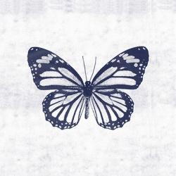 Blue Butterfly III | Obraz na stenu