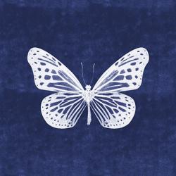 White Butterfly II | Obraz na stenu