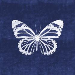 White Butterfly III | Obraz na stenu