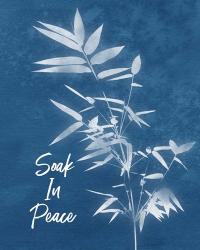 Soak in Peace | Obraz na stenu