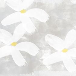 White and Grey Flowers | Obraz na stenu