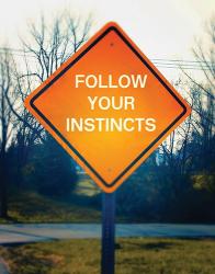 Follow Your Instincts | Obraz na stenu