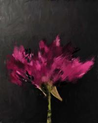 Pink Flower I | Obraz na stenu