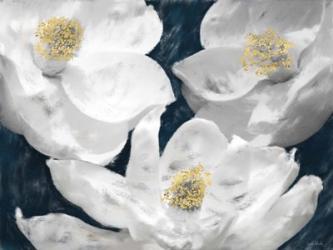 Painted Magnolias | Obraz na stenu