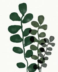 Green Eucalyptus I | Obraz na stenu