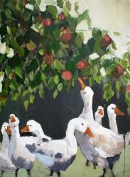 Apples and Ducks | Obraz na stenu
