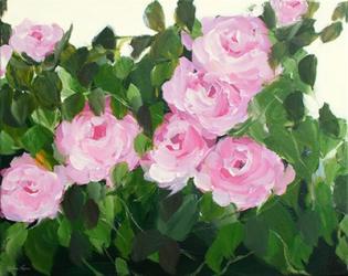 Pink Rose Bush | Obraz na stenu
