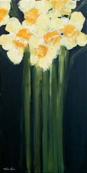 Daffodils | Obraz na stenu