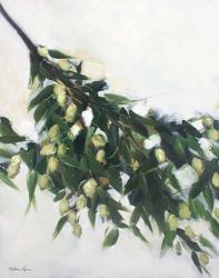 Olive Branch | Obraz na stenu