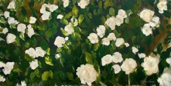 White Rose Bush | Obraz na stenu