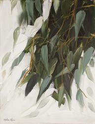 Willow Eucalyptus | Obraz na stenu