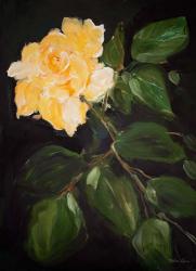 Yellow Rose | Obraz na stenu