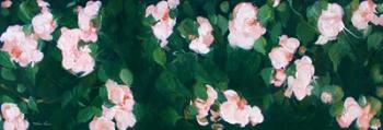 Rose Garden | Obraz na stenu